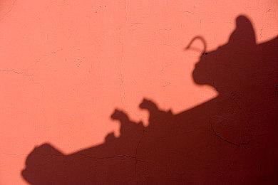 《InZOI》重点更新8月发布 开放新岛屿增加游泳等